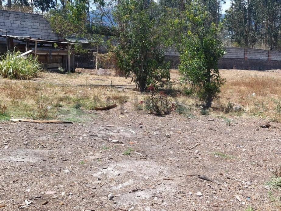 Se Vende Terreno 6 Mil m Construccion Obra Gris Sector Tumbaco — imagen 6