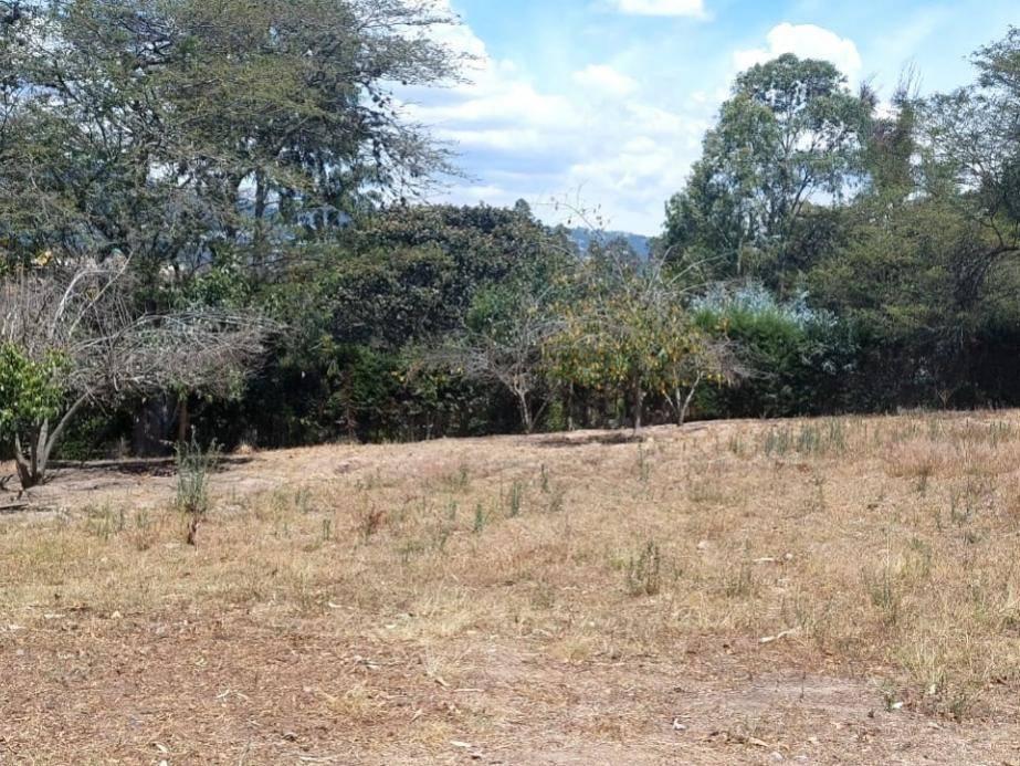 Se Vende Terreno 6 Mil m Construccion Obra Gris Sector Tumbaco — imagen 5