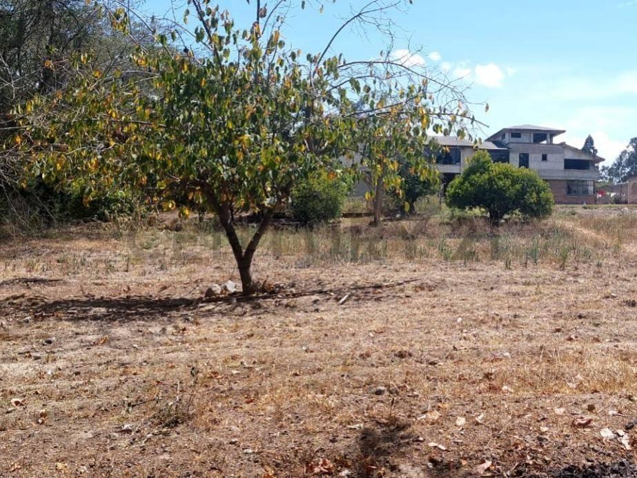 Se Vende Terreno 6 Mil m Construccion Obra Gris Sector Tumbaco — imagen 4