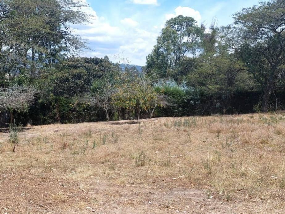 Se Vende Terreno 6 Mil m Construccion Obra Gris Sector Tumbaco — imagen 3