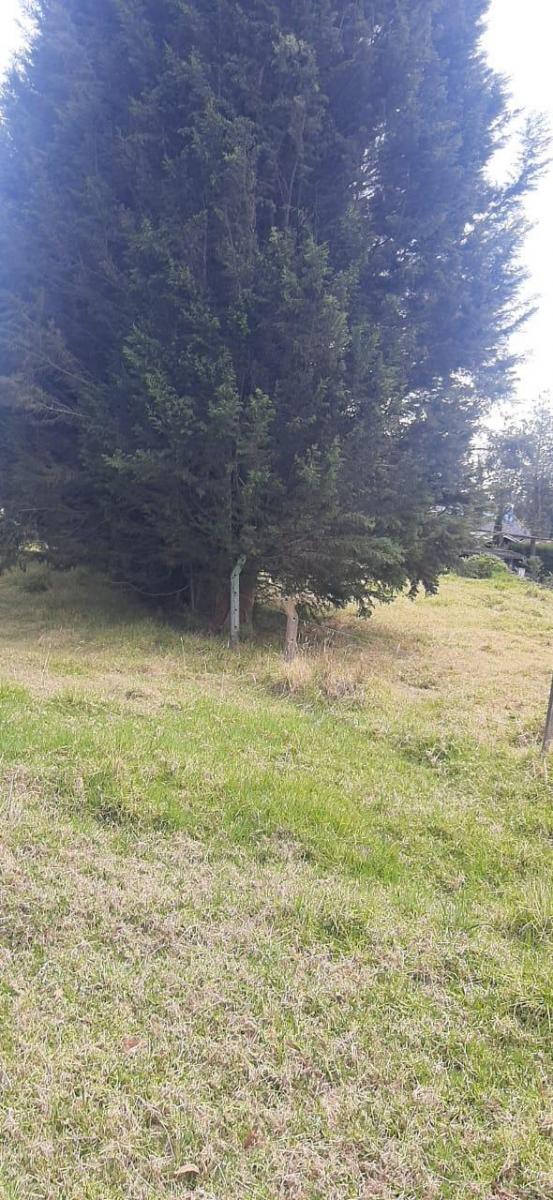 Vendoterreno Conj. Privado - Amaguaña Próximo a La Fabrica Fv y Chaide y Chaide — imagen 7