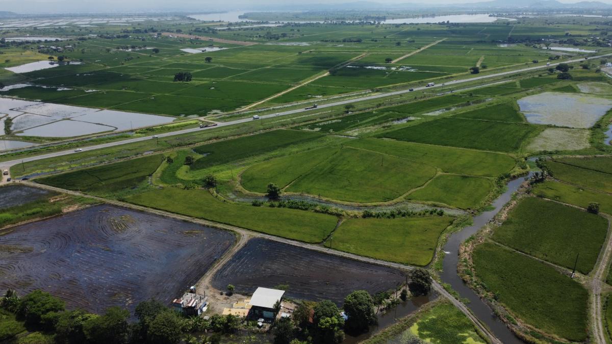 Via Al Pan Macrolote en Venta - Yaguachi - A. Marin, Guayas — imagen 5