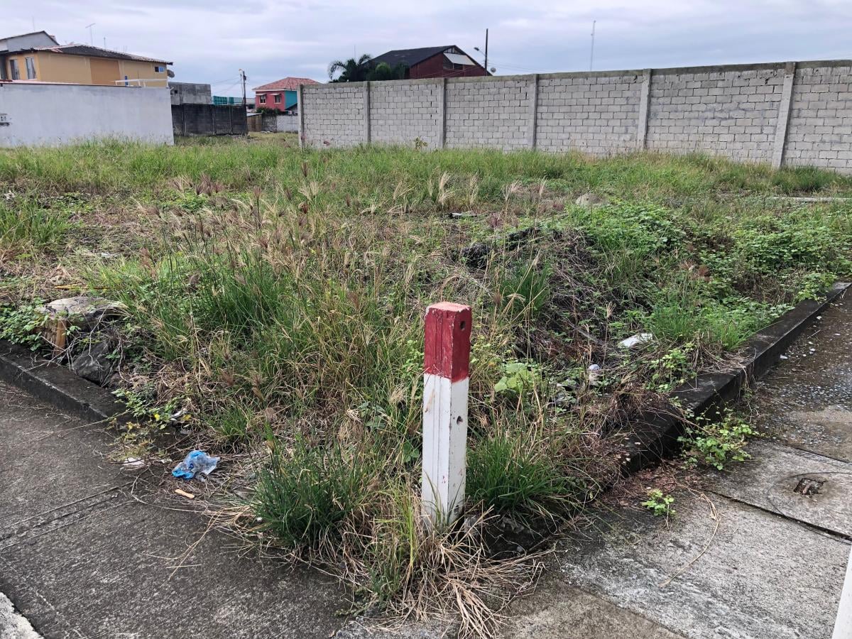 Vendo Terrenos Bien Ubicados en La Delicia Vía a Samborondón, Guayas — imagen 10