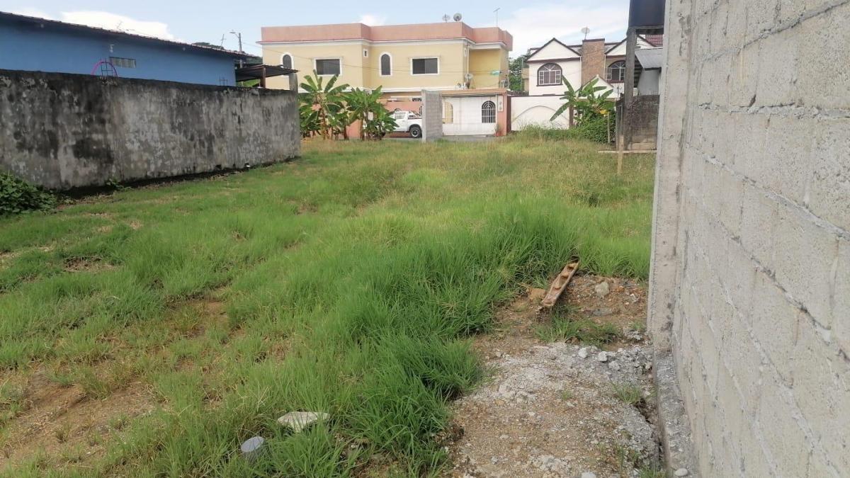 Vendo Terrenos Bien Ubicados en La Delicia Vía a Samborondón, Guayas — imagen 9