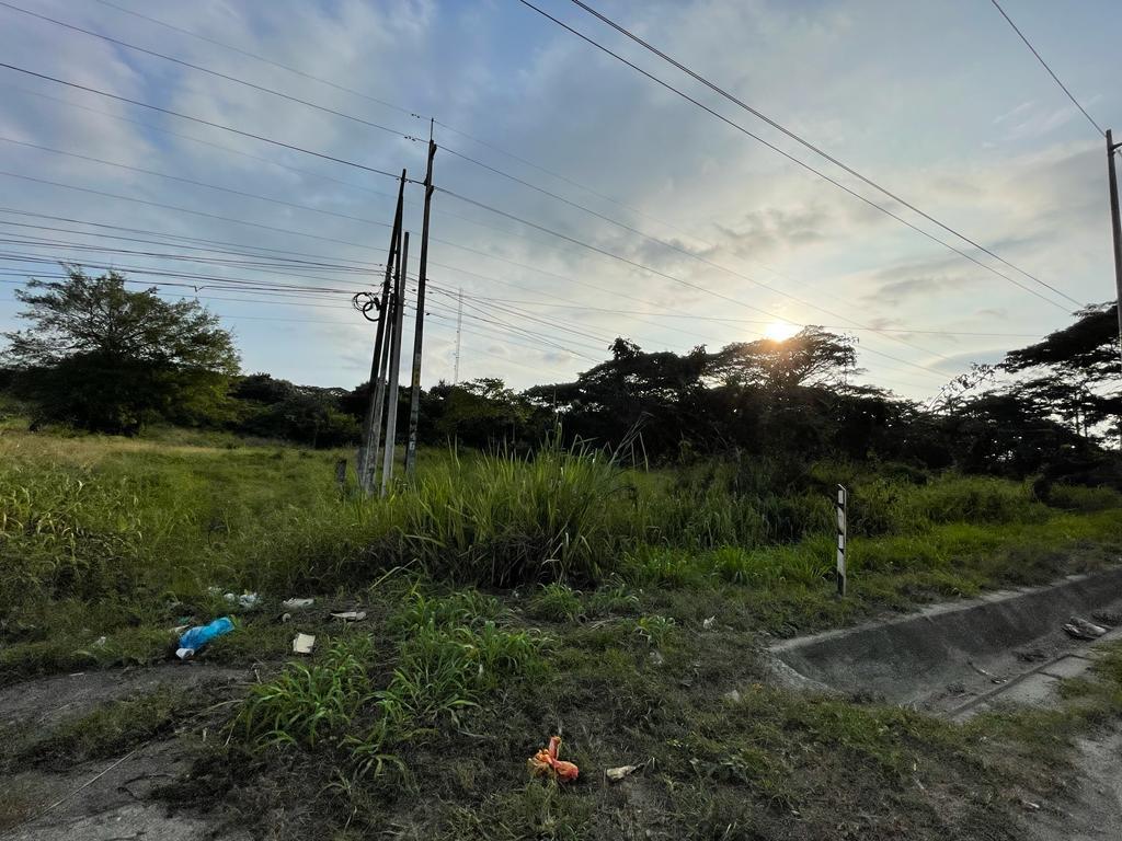 En Venta Terreno 23.609 m² - Vía a Daule Km 23 - Al Pie de La Vía, Guayas — imagen 4