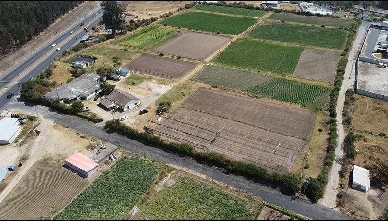 Para Inversionista Tengo en Venta 4.9 Hectáreas - Sector Tababela - Vergel Bajo — imagen 9