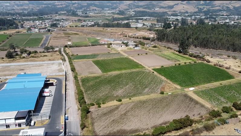 Para Inversionista Tengo en Venta 4.9 Hectáreas - Sector Tababela - Vergel Bajo — imagen 8