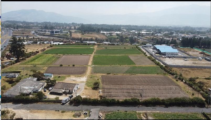 Para Inversionista Tengo en Venta 4.9 Hectáreas - Sector Tababela - Vergel Bajo — imagen 6