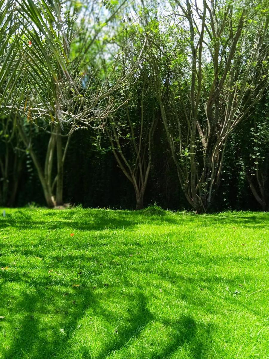 Hermoso Terreno de 2.000 m² Vía a Pillagua — imagen 10