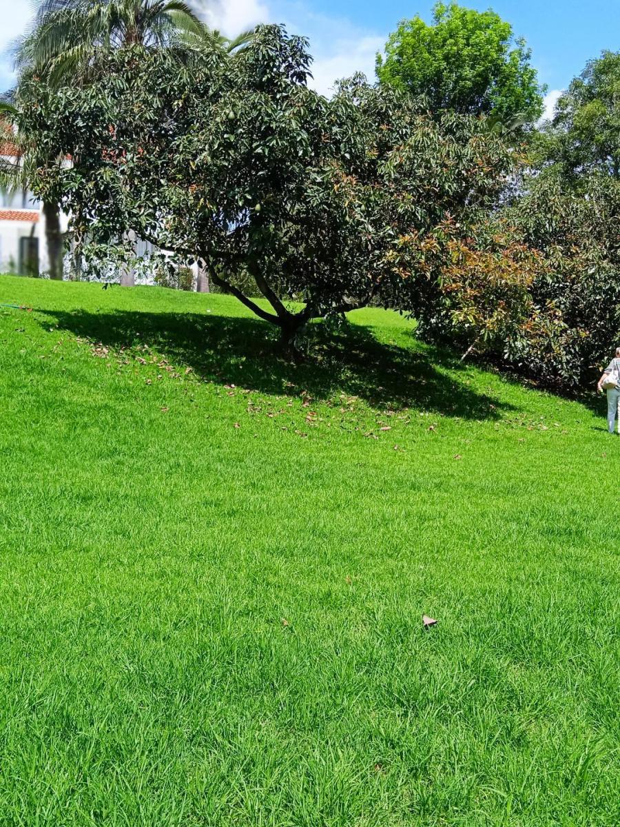 Hermoso Terreno de 2.000 m² Vía a Pillagua — imagen 8
