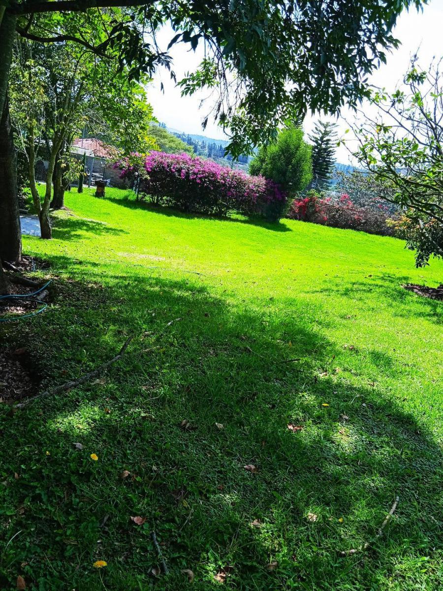 Hermoso Terreno de 2.000 m² Vía a Pillagua — imagen 7