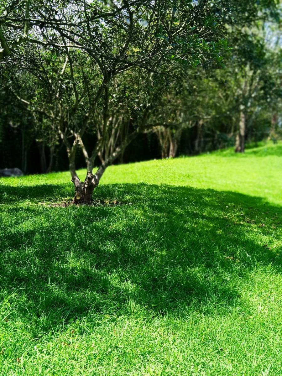 Hermoso Terreno de 2.000 m² Vía a Pillagua — imagen 6