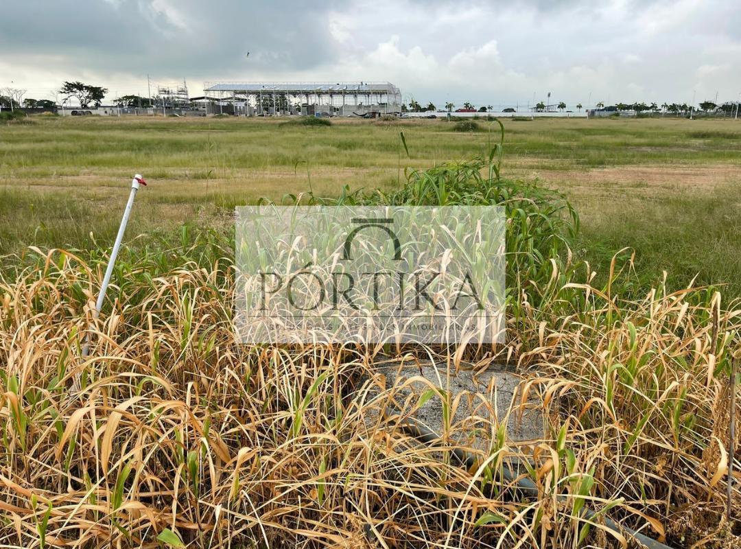 Venta Terreno - Plaza Piady - Vía Yaguachi, Guayas — imagen 9
