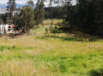Terreno en Venta 3.608 m² Iñaquito Alto, Ideal Para Proyecto Inmobiliario. Provincia de Pichincha — imagen 5