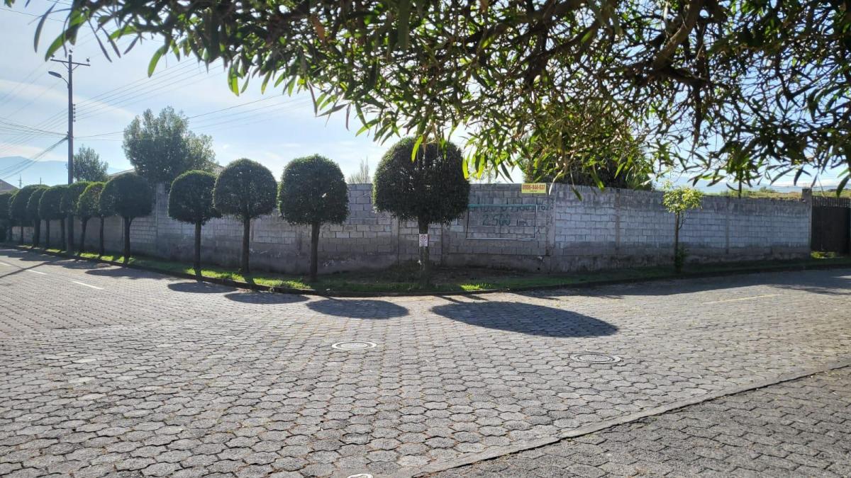 Venta Lote de 2577 m Dentro de Urbanización Sector Bodegas del Supermaxi — imagen 6
