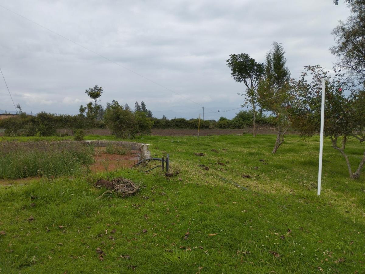 Re/max Futurio Vende Terreno de 2 Hectarias en Tababela — imagen 9