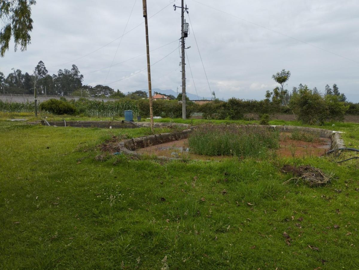Re/max Futurio Vende Terreno de 2 Hectarias en Tababela — imagen 8