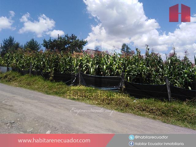 Vendo Terreno en Cuenca, Sector El Valle (St3268), Azuay — imagen 9