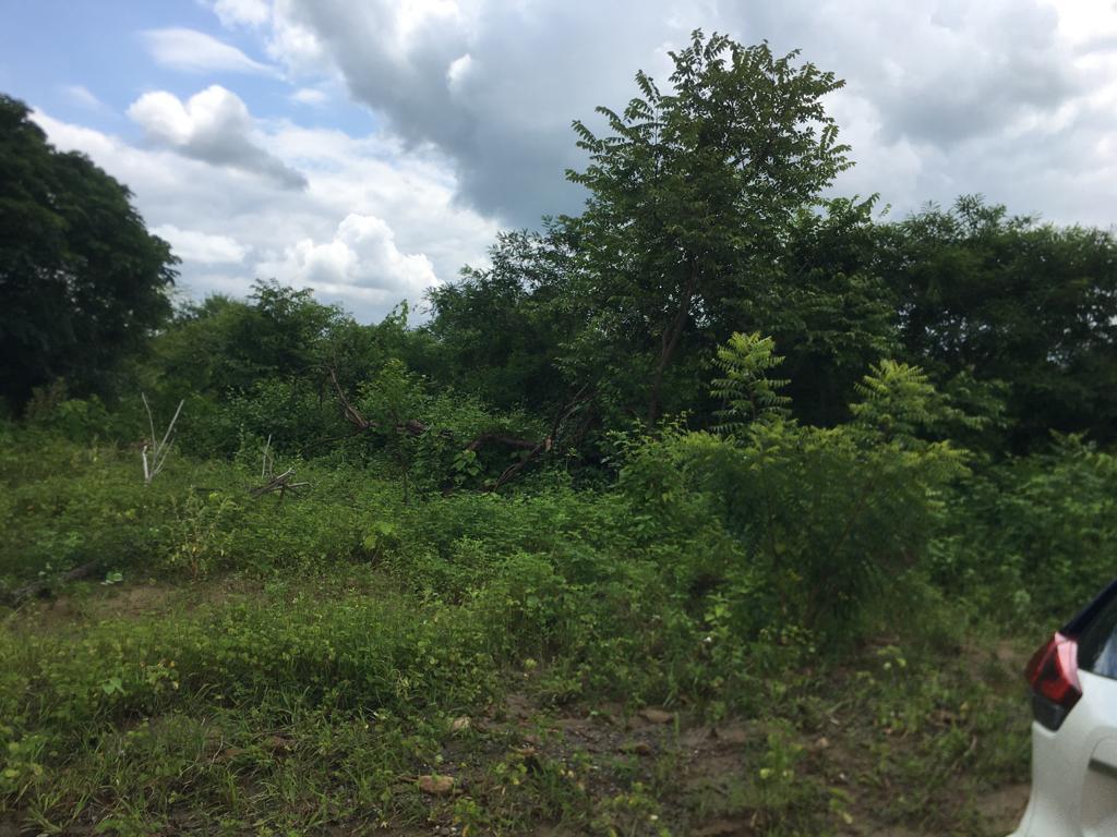Venta 250.000 m² (25 Has) Chongón - Daular, Vía a La Costa Km. 27, Guayas — imagen 10