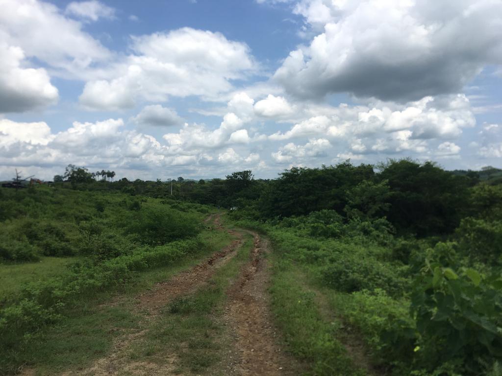 Venta 250.000 m² (25 Has) Chongón - Daular, Vía a La Costa Km. 27, Guayas — imagen 9