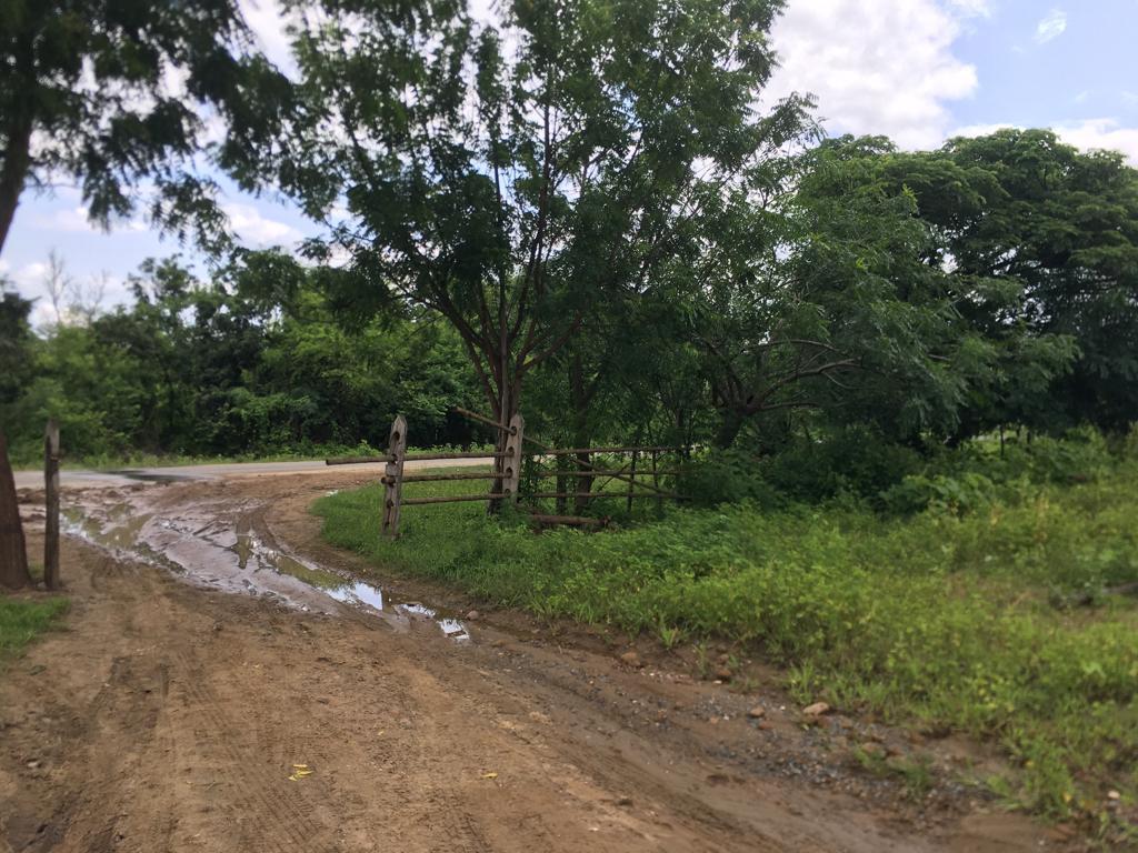 Venta 250.000 m² (25 Has) Chongón - Daular, Vía a La Costa Km. 27, Guayas — imagen 7