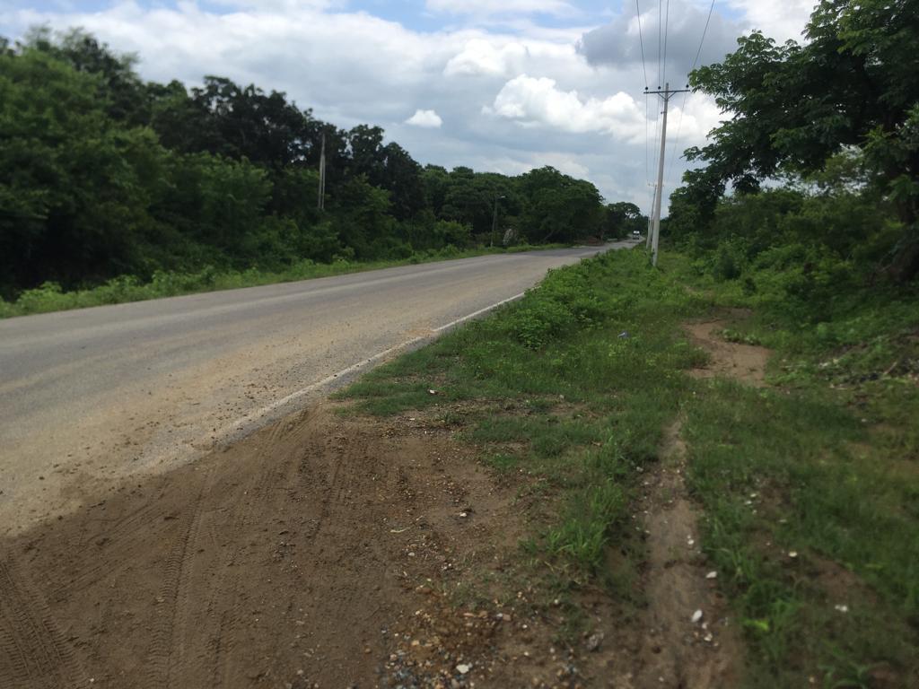 Venta 250.000 m² (25 Has) Chongón - Daular, Vía a La Costa Km. 27, Guayas — imagen 6