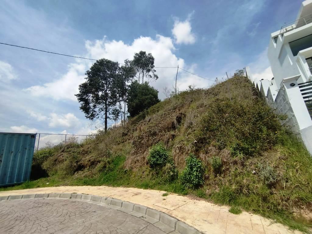 Terreno de 540 m² en Venta Sector Uide — imagen 10