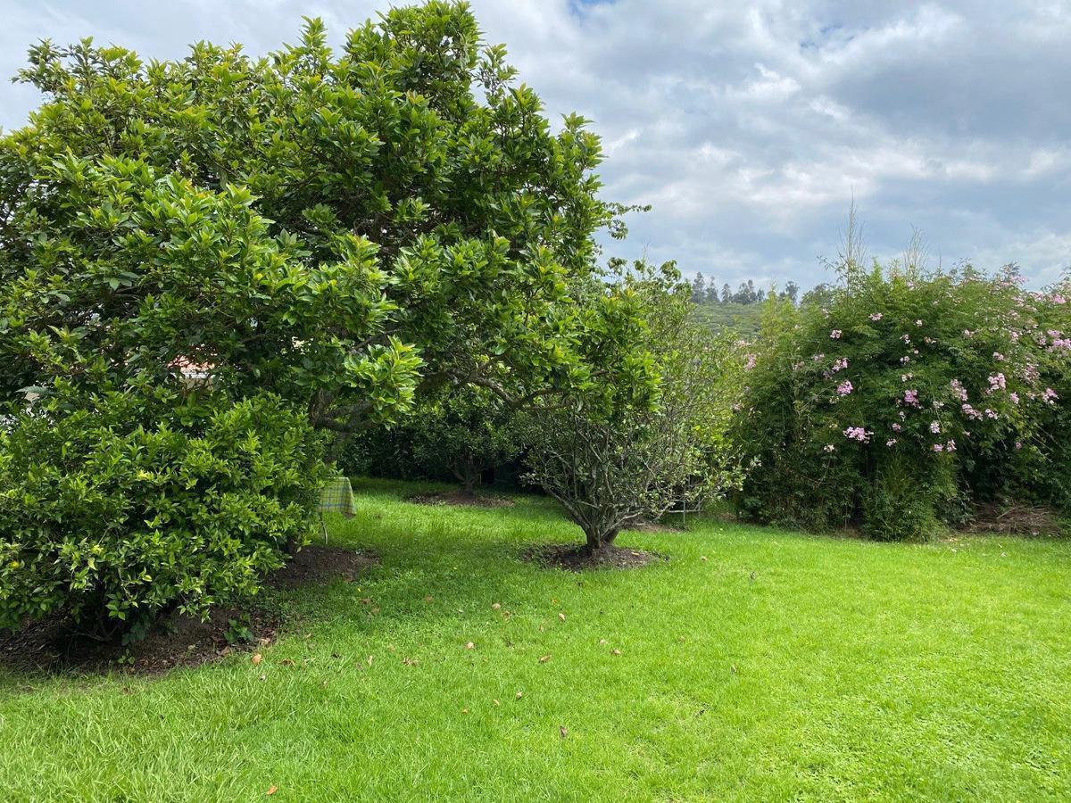 Vendo Terreno, Tumbaco, 970 m², Sector La Viña Alta! Excelente Oportunidad! — imagen 9