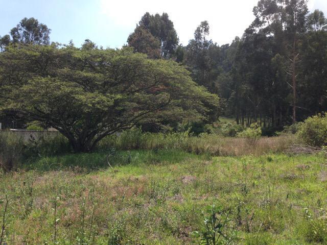 Av Simón Bolivar, Vendo Terreno Para Negocio o Vivienda — imagen 3
