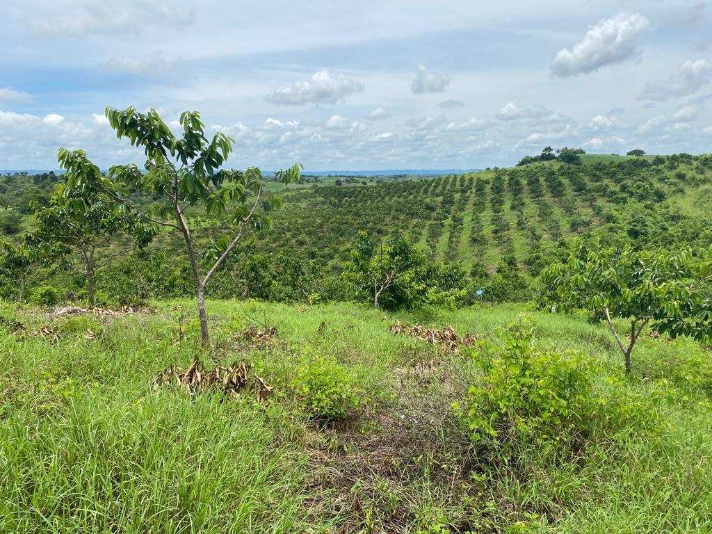 Vendo Linda Finca en Pedro Carbo, en Producción, Guayas — imagen 8
