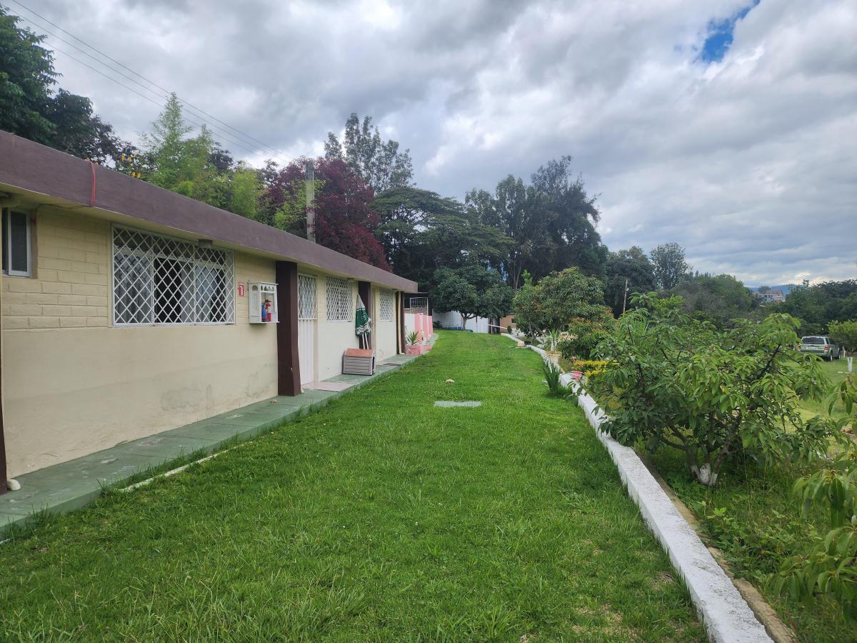 Bonito Terreno de Venta 1 Hectarea en Tumbaco Aurelio Davila — imagen 10