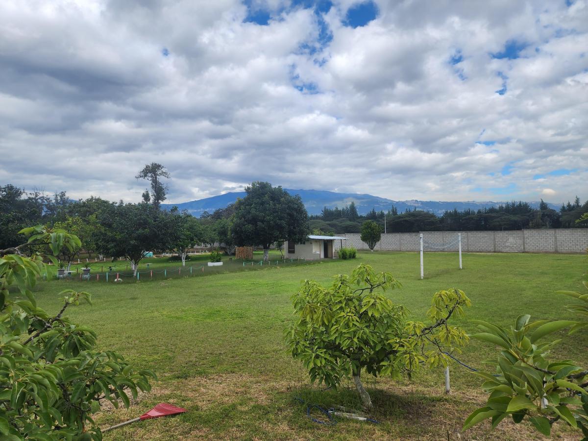 Bonito Terreno de Venta 1 Hectarea en Tumbaco Aurelio Davila — imagen 9