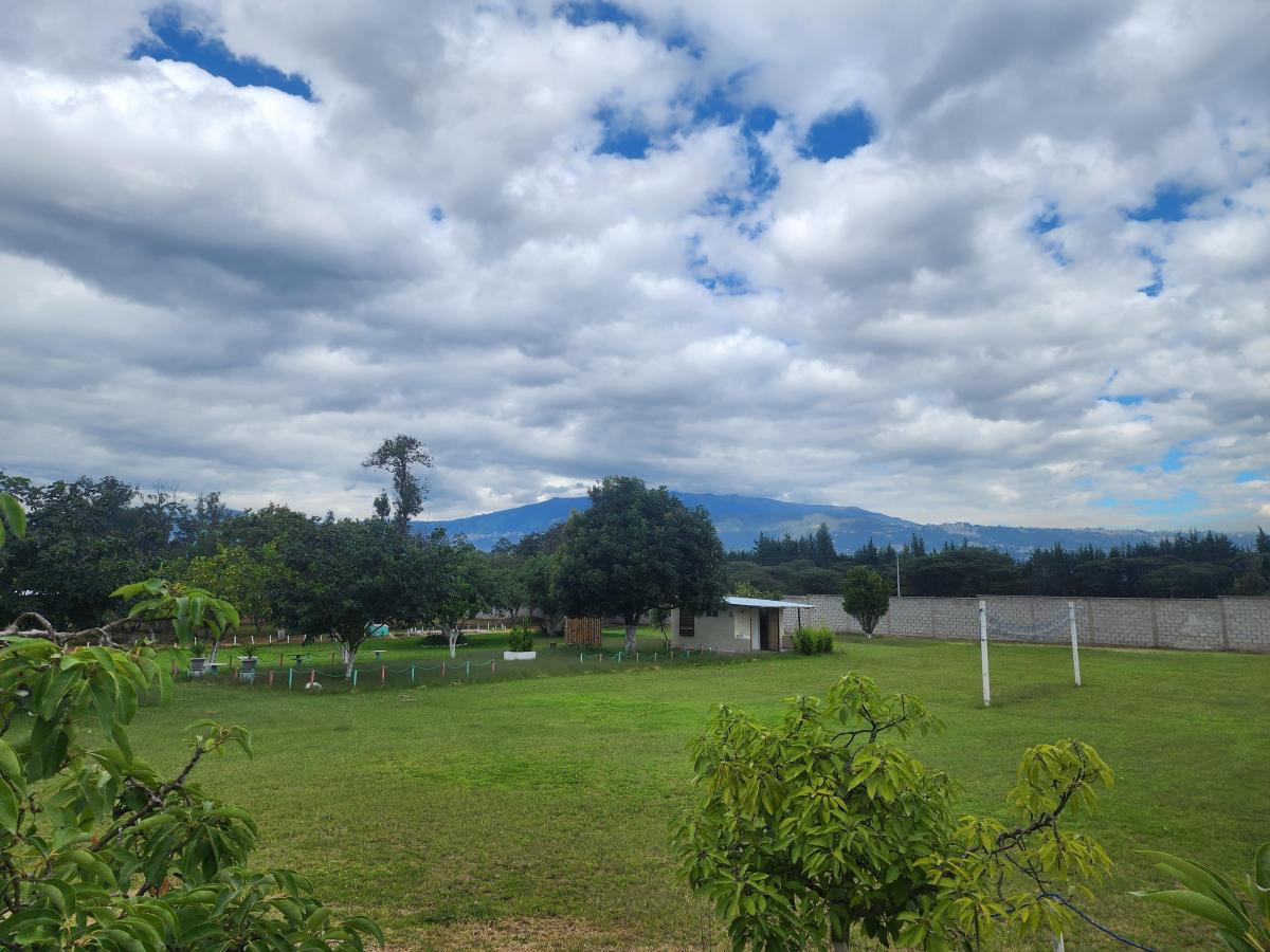 Bonito Terreno de Venta 1 Hectarea en Tumbaco Aurelio Davila — imagen 8