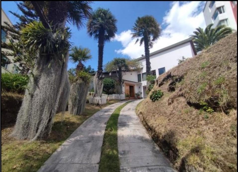 Se Vende Terreno Sector Bellavista — imagen 8