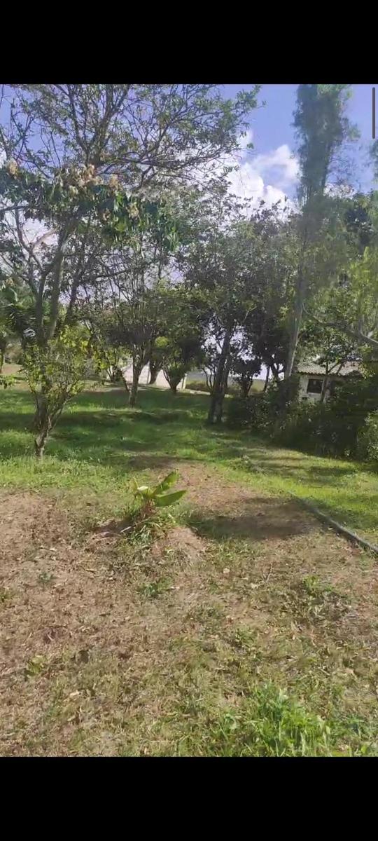 Hermosos Terrenos en Venta en Puembo Para Constructor o Negocio — imagen 2
