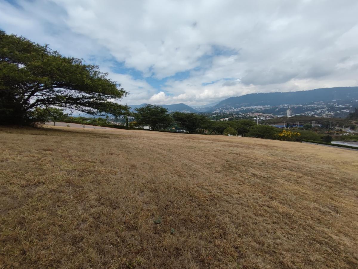 La Quinta Urbanizacion en Cumbaya Venta Terreno — imagen 7