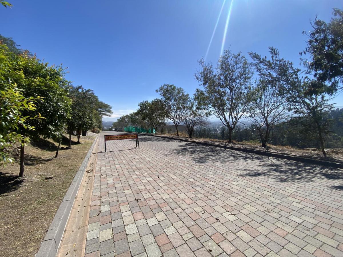 Espectacular Terreno de Venta Ubicado Dentro de La Urbanización Casa de Campo — imagen 6