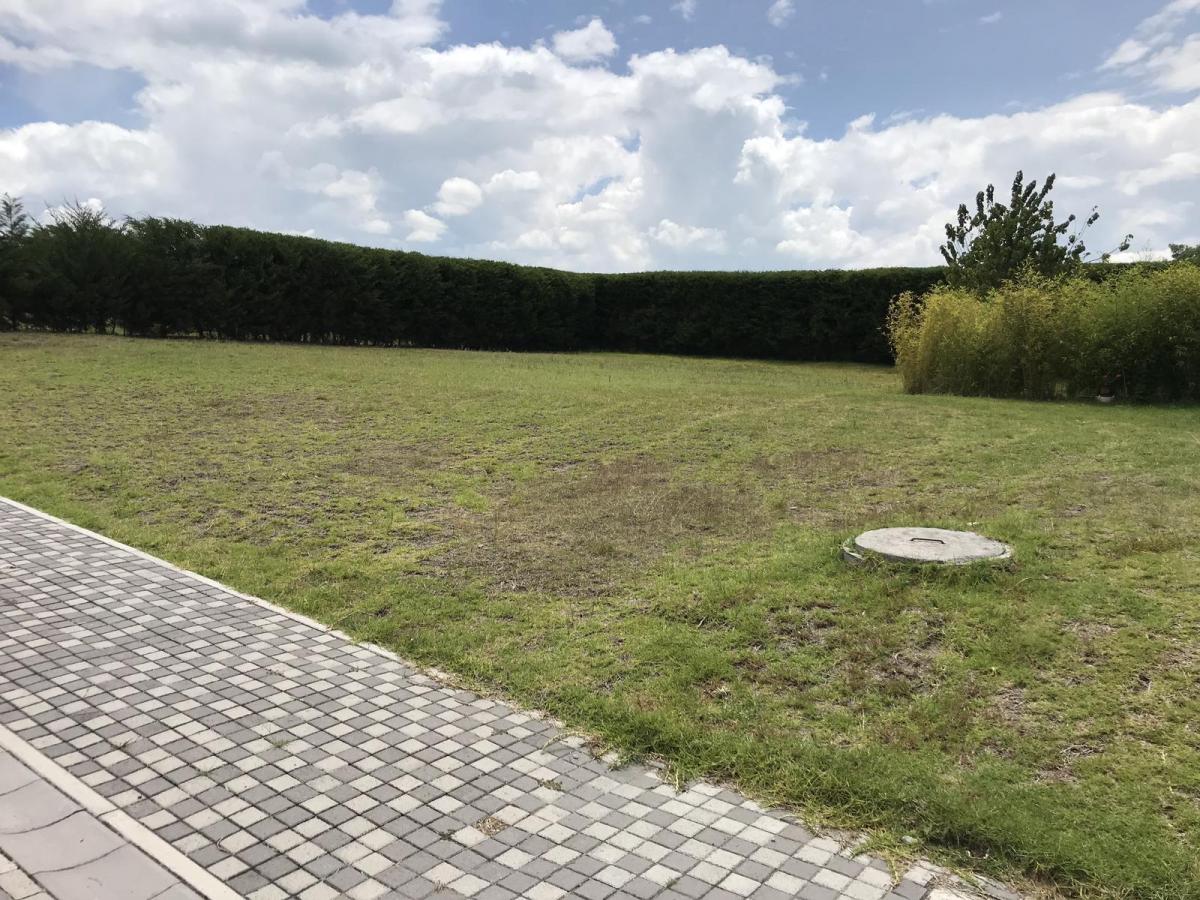 Terreno de Venta Ubicado Dentro de Urbanización, Atrás de Arrayanes, Oportunidad — imagen 7