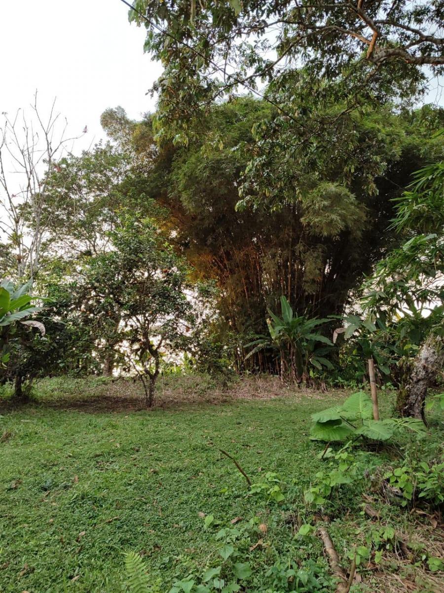 Oportunidad Terreno 13,700 m² Totales con 200 m² Frent a Carreter Pedr Vice Maldo — imagen 7
