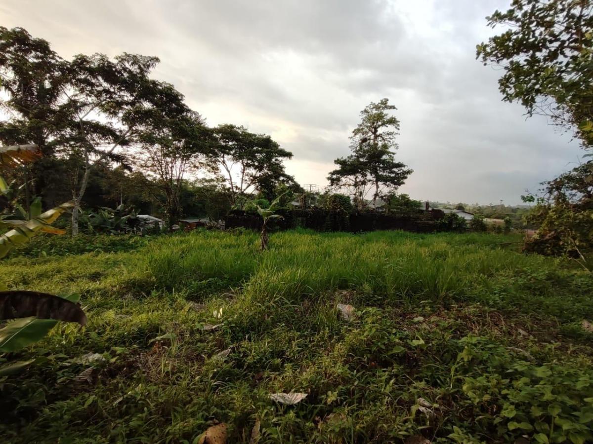 Oportunidad Terreno 13,700 m² Totales con 200 m² Frent a Carreter Pedr Vice Maldo — imagen 6