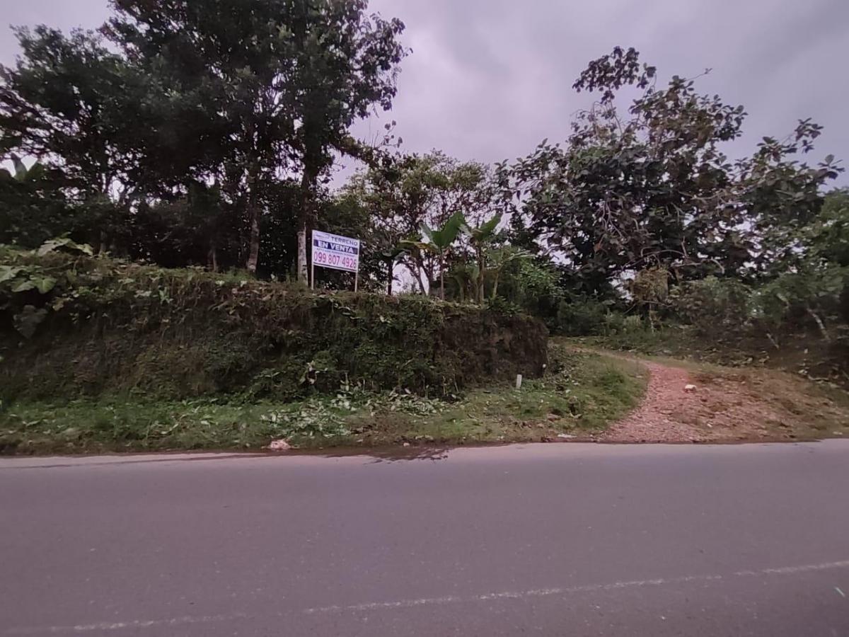 Oportunidad Terreno 13,700 m² Totales con 200 m² Frent a Carreter Pedr Vice Maldo — imagen 5