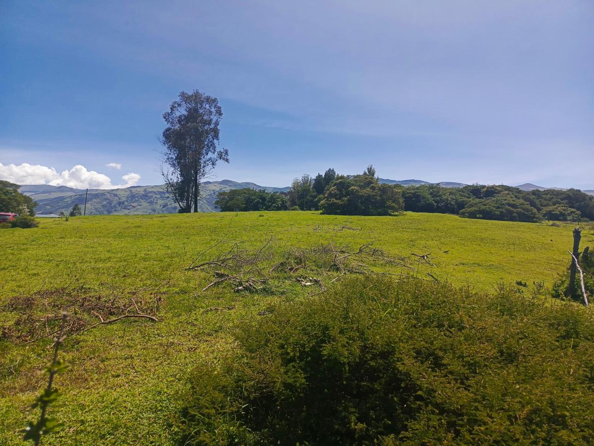Terreno en Venta - La Carolina Pintag — imagen 10