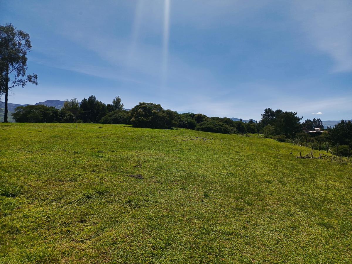 Terreno en Venta - La Carolina Pintag — imagen 9