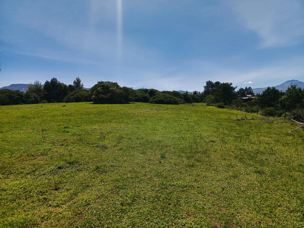 Terreno en Venta - La Carolina Pintag — imagen 8