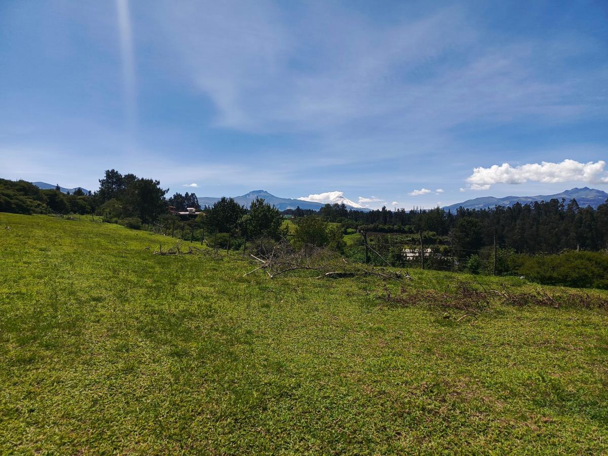 Terreno en Venta - La Carolina Pintag — imagen 7