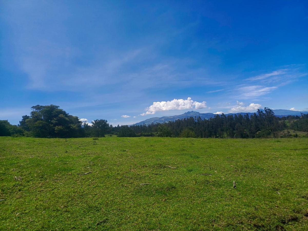 Terreno en Venta - La Carolina Pintag — imagen 6