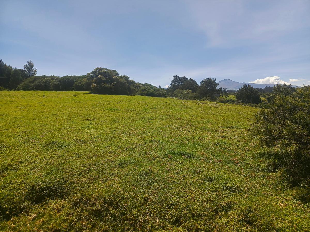 Terreno en Venta - La Carolina Pintag — imagen 5
