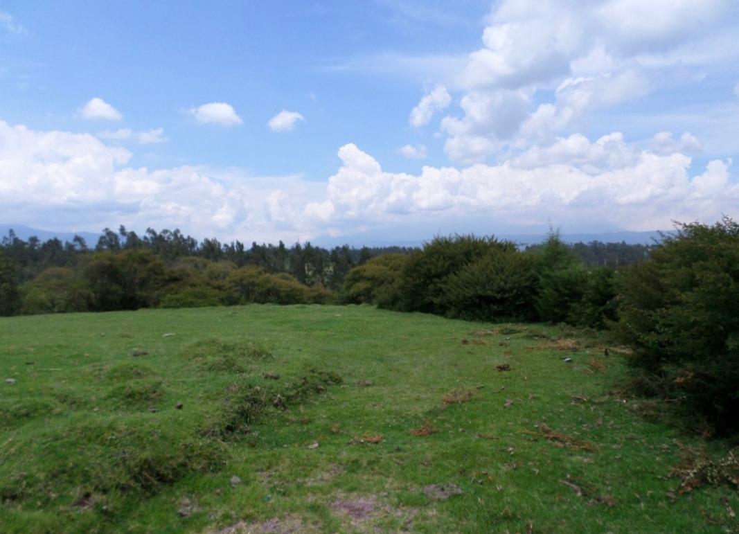 Terreno en Venta - La Carolina Pintag — imagen 4