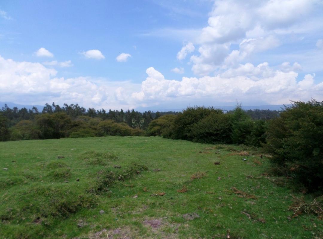 Terreno en Venta - La Carolina Pintag — imagen 2