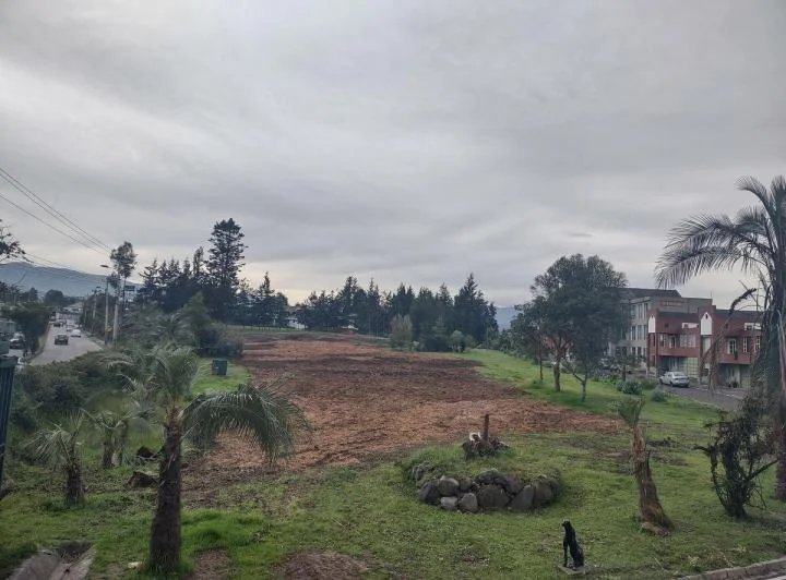 Rento Hasta 7.000 m², Frente Total 132 m a Av Gral Rumiñahui, Sangolquí — imagen 1